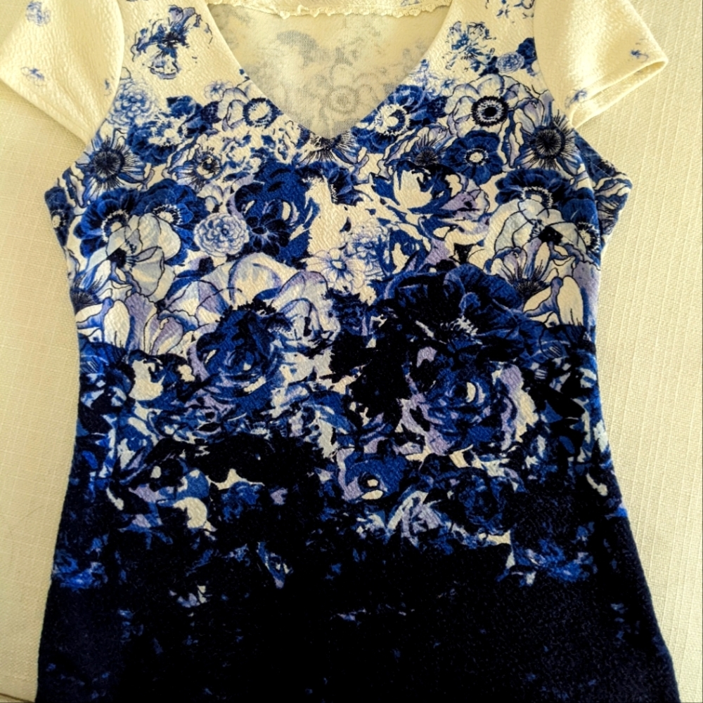 Anthropologie Postmark Blue White Floral cap sleeve top S